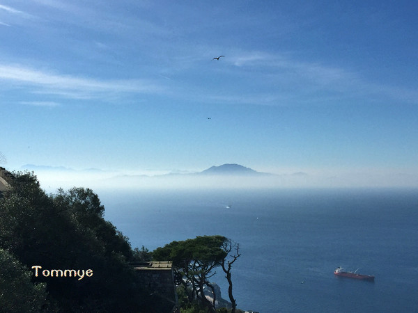 繁花落去,一地缤纷(西班牙&葡萄牙)