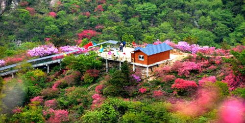 湖北黃岡2日1晚跟團遊·【清涼避暑】桃花衝漂流,醉美天馬寨玩樂度假2