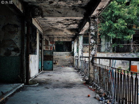 我在香港荒废小学里遇见了一群小学生