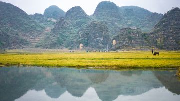 风景%20普者黑三生三世2