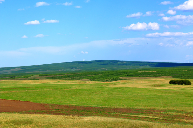 100s160000010lbiiA9E4_R_800_10000_Q90.jpg?proc=autoorient