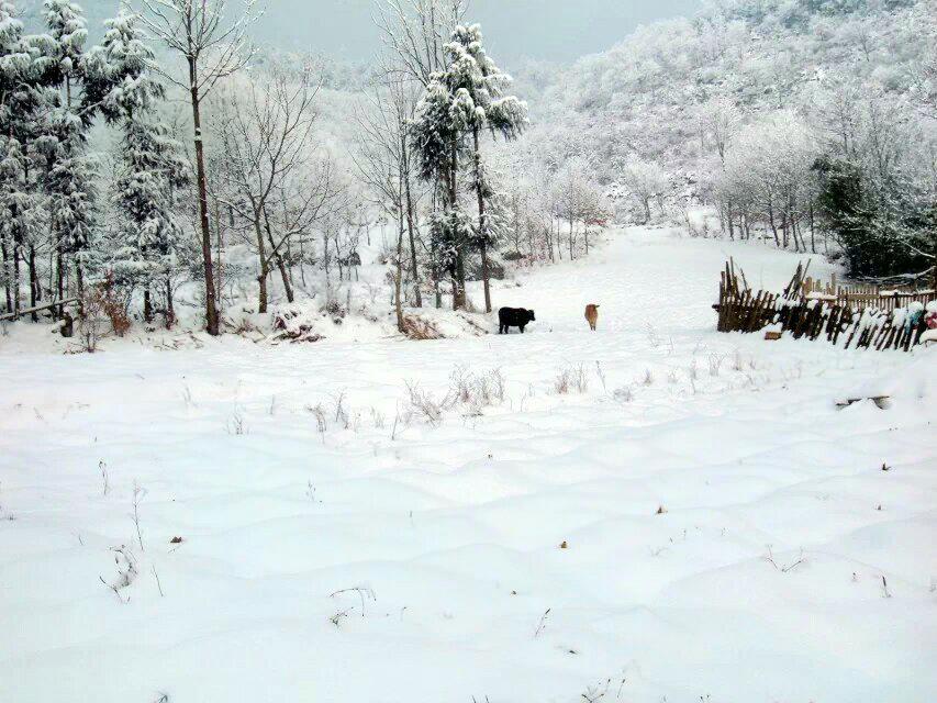 雪宝山国家森林公园