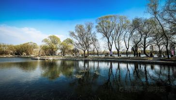 北京玉渊潭公园赏樱花+北京动物园看小动物一