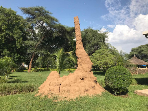 云上非洲------肯尼亚之旅