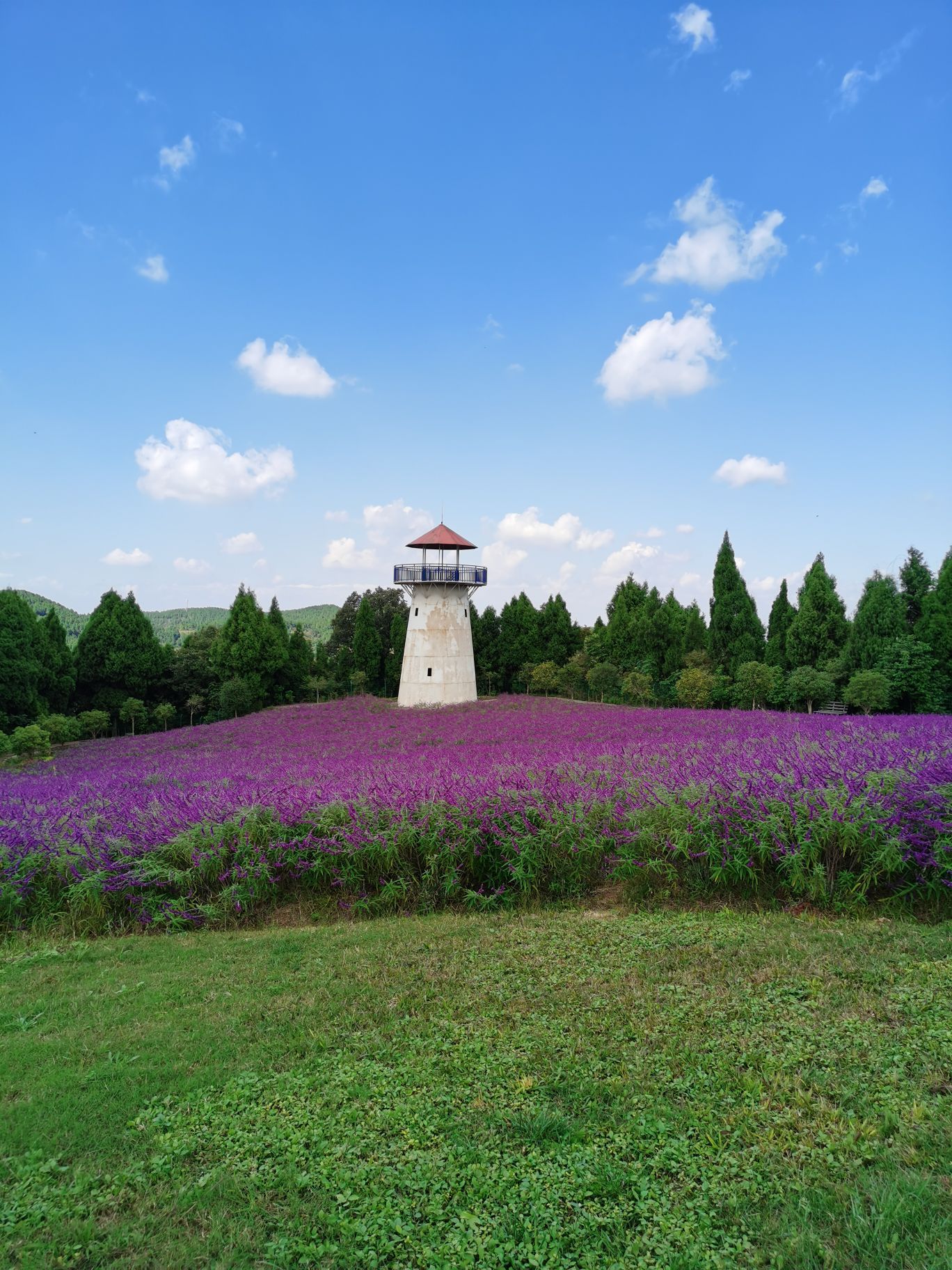 崴螺山森林公园