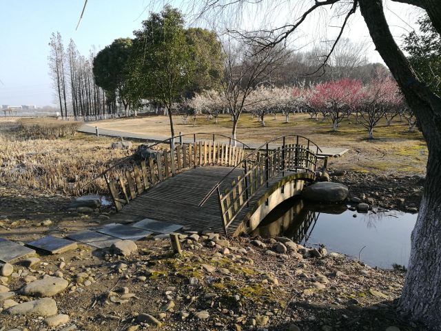 東沙湖生態公園