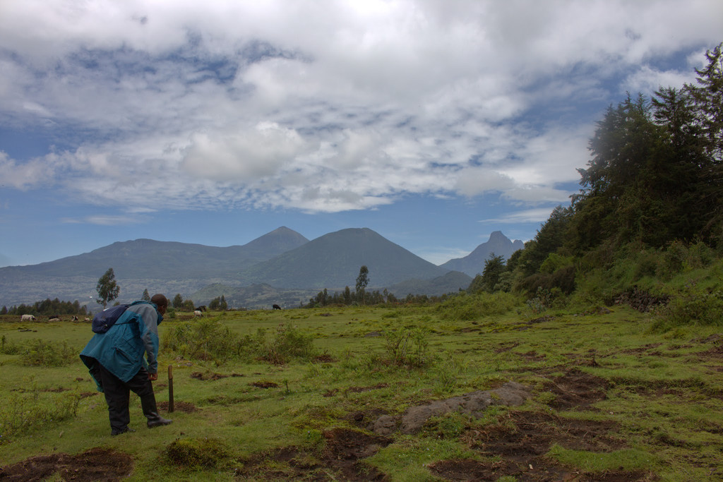 寻找猩猩的旅途,卢旺达火山公园行摄山地大猩猩攻略