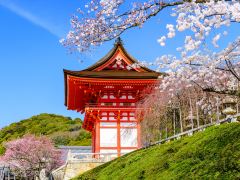 体验和服风情，京都特色旅拍1日游