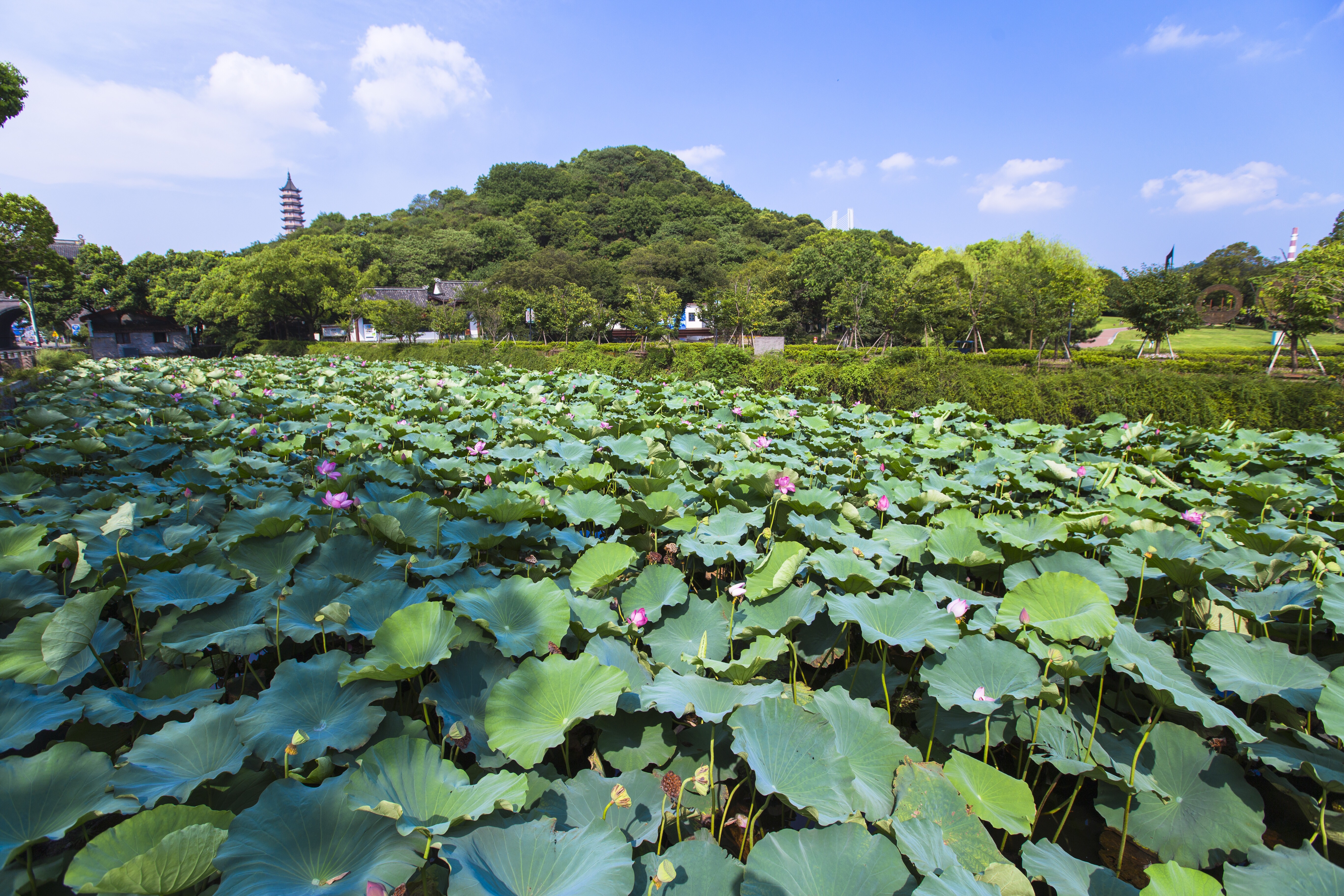 招宝山