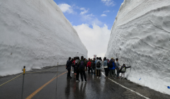 富山旅游攻略 10月富山 Toyama 自助游 周边自驾 出游 自由行 游玩攻略 携程攻略