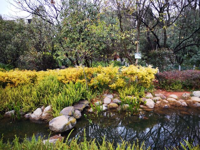 昆明弥勒寺公园攻略,昆明弥勒寺公园门票/游玩攻略/地址/图片/门票