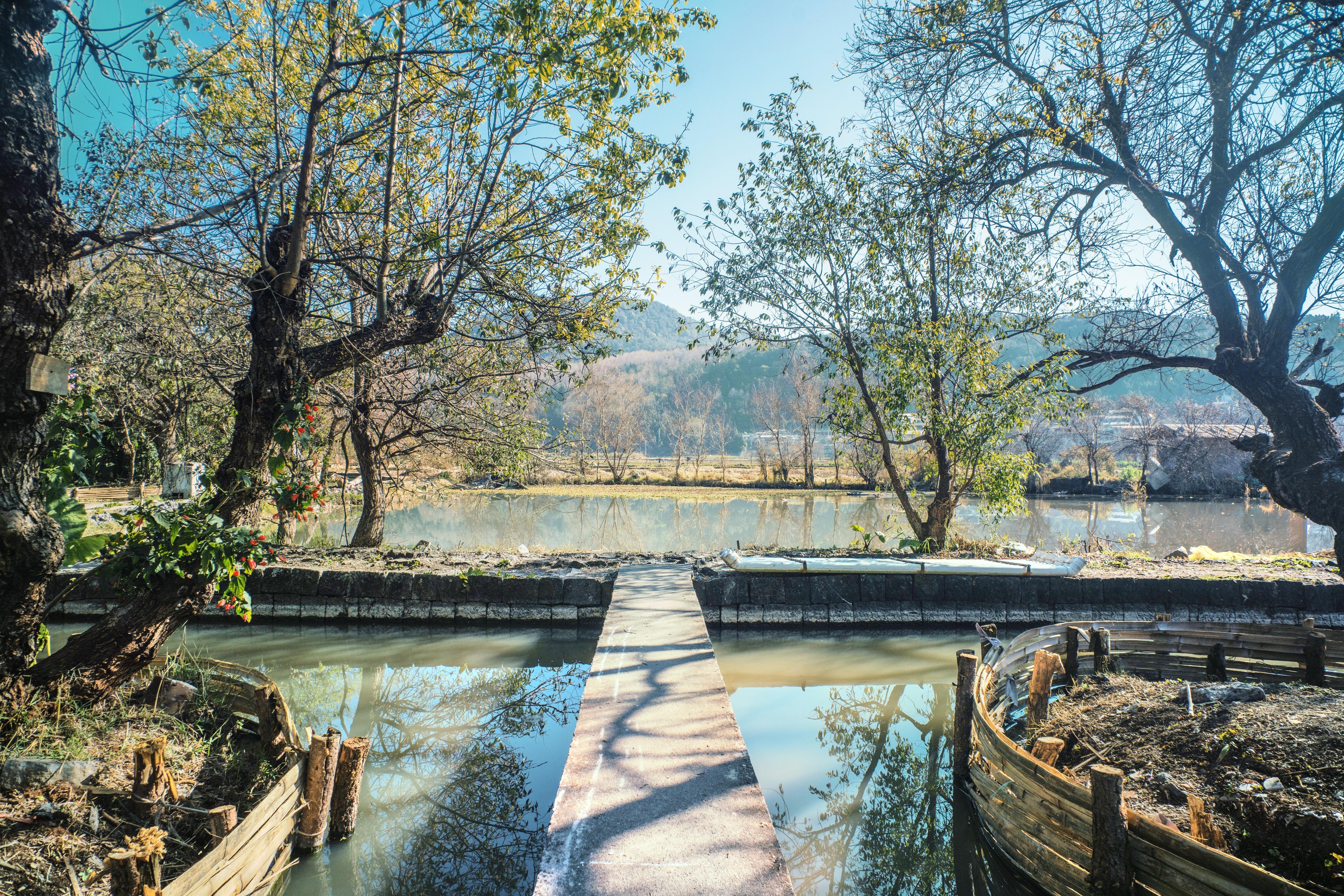 陷河湿地