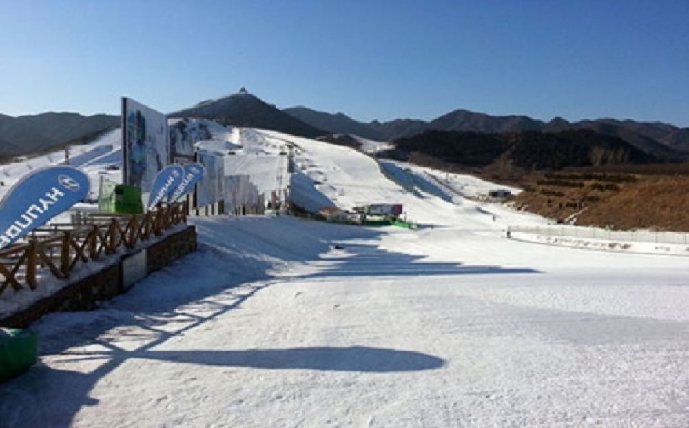 右玉南山滑雪场老板图片