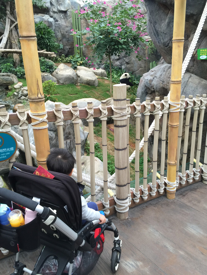 九年后再次相遇~记2017年春节香港亲子游 - 香