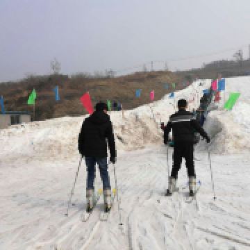 企鹅疯百家乐- 百家乐官方网站- 百家乐在线- Baccarat Online狂滑雪