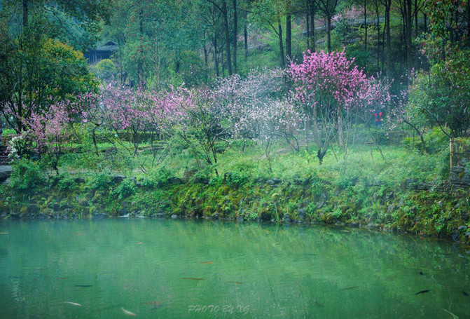 怎么进入桃源 100w0q000000gtvit3474_C_671_10000_Q90.jpg