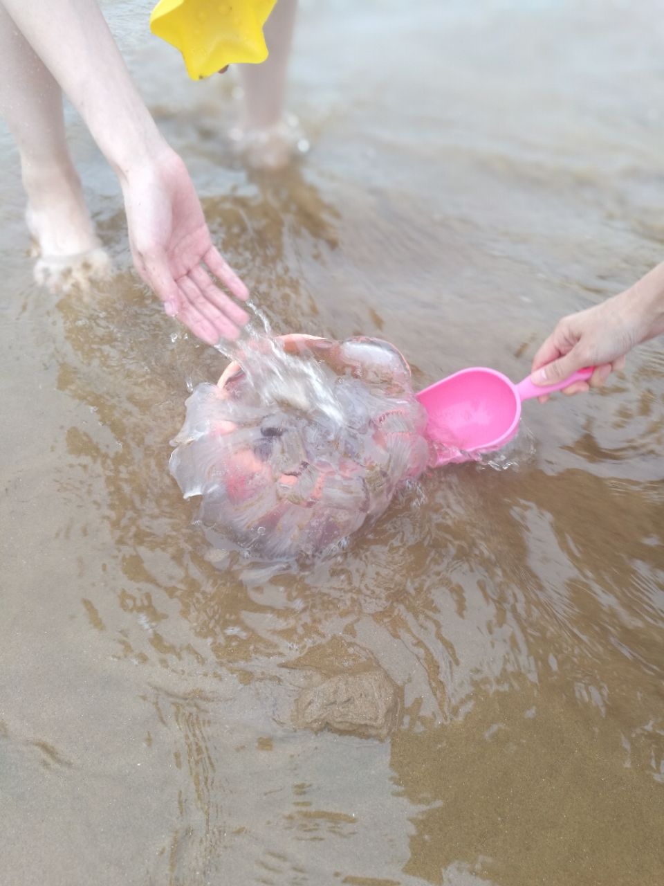 海洋花园别墅海滩