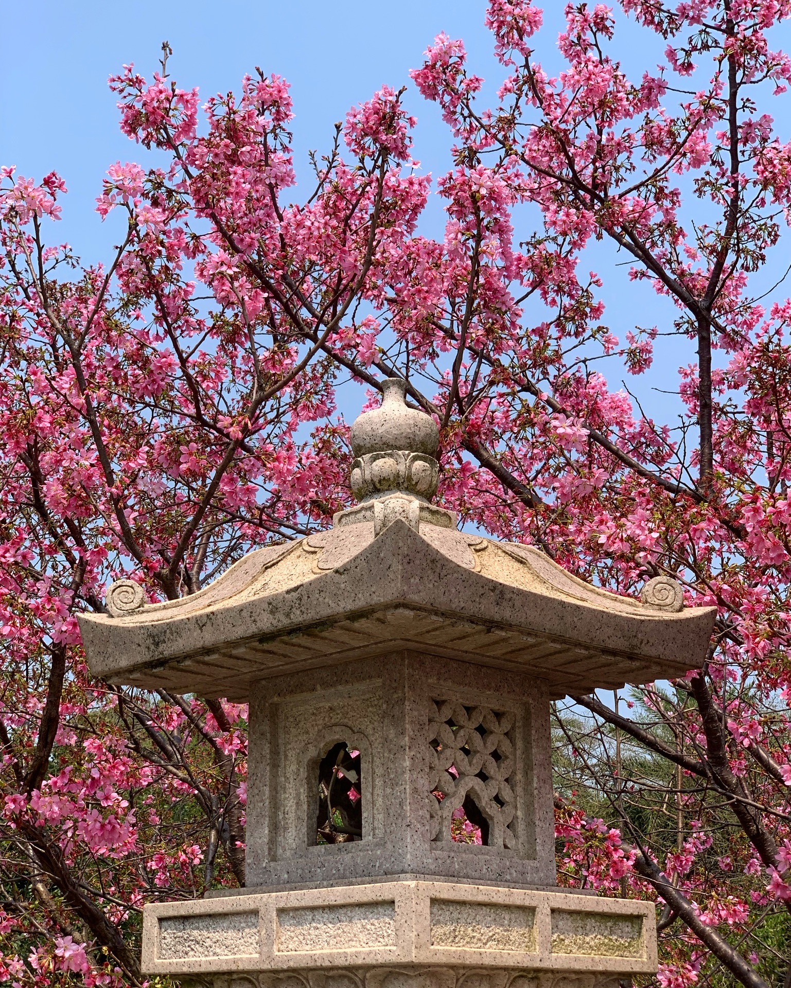 竹林山寺公园