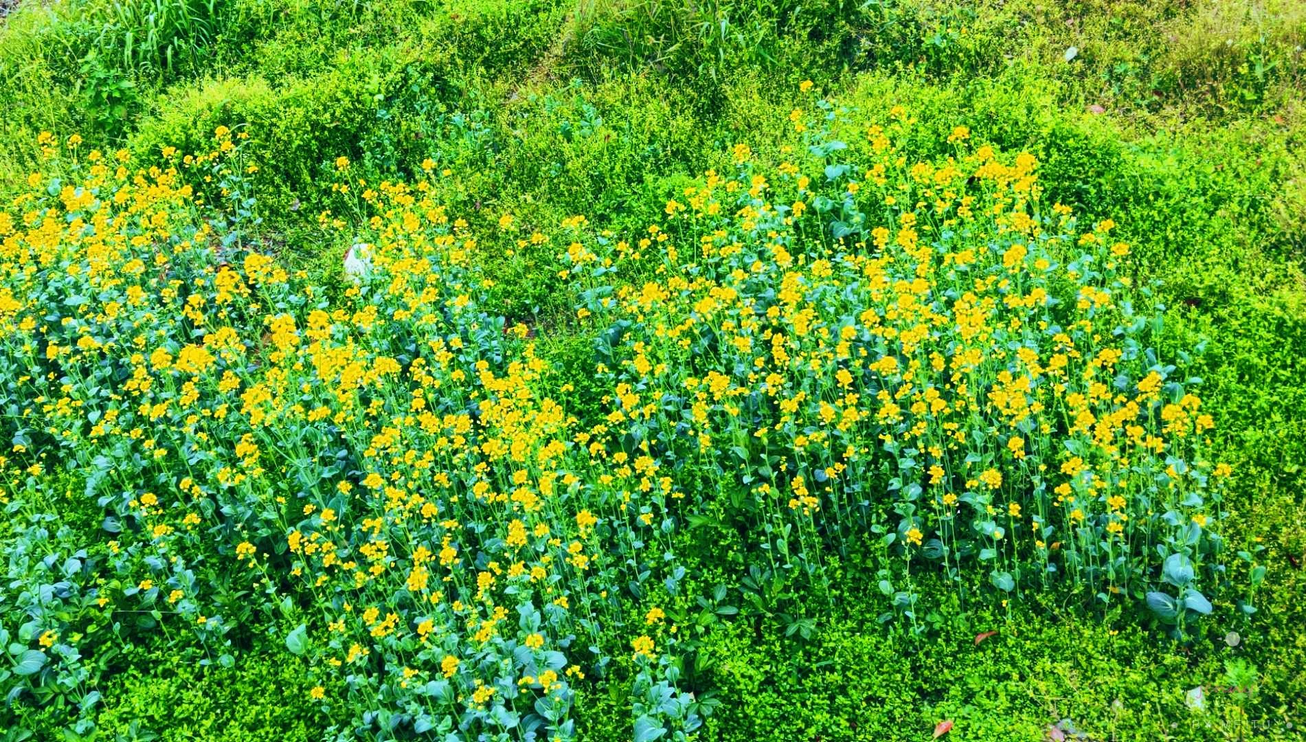 浙江医药高等专科学校图书馆