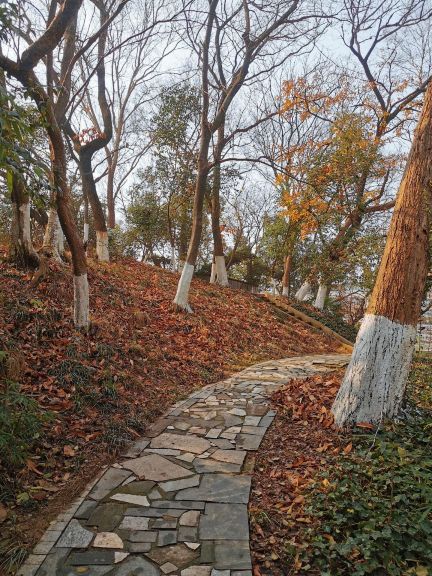 戴家巷古建筑群