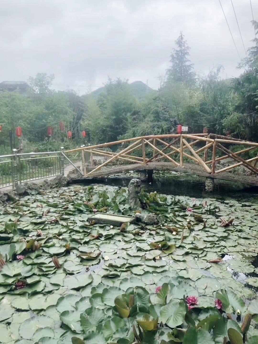 泰丰农业生态植物观光园