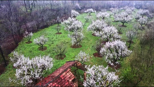 周至翠峰青山遗址一个被人遗忘的世外桃源!