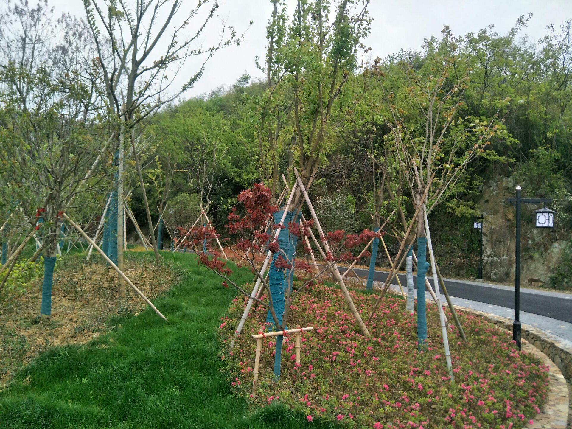 杭州鸬鸟览途房车露营公园