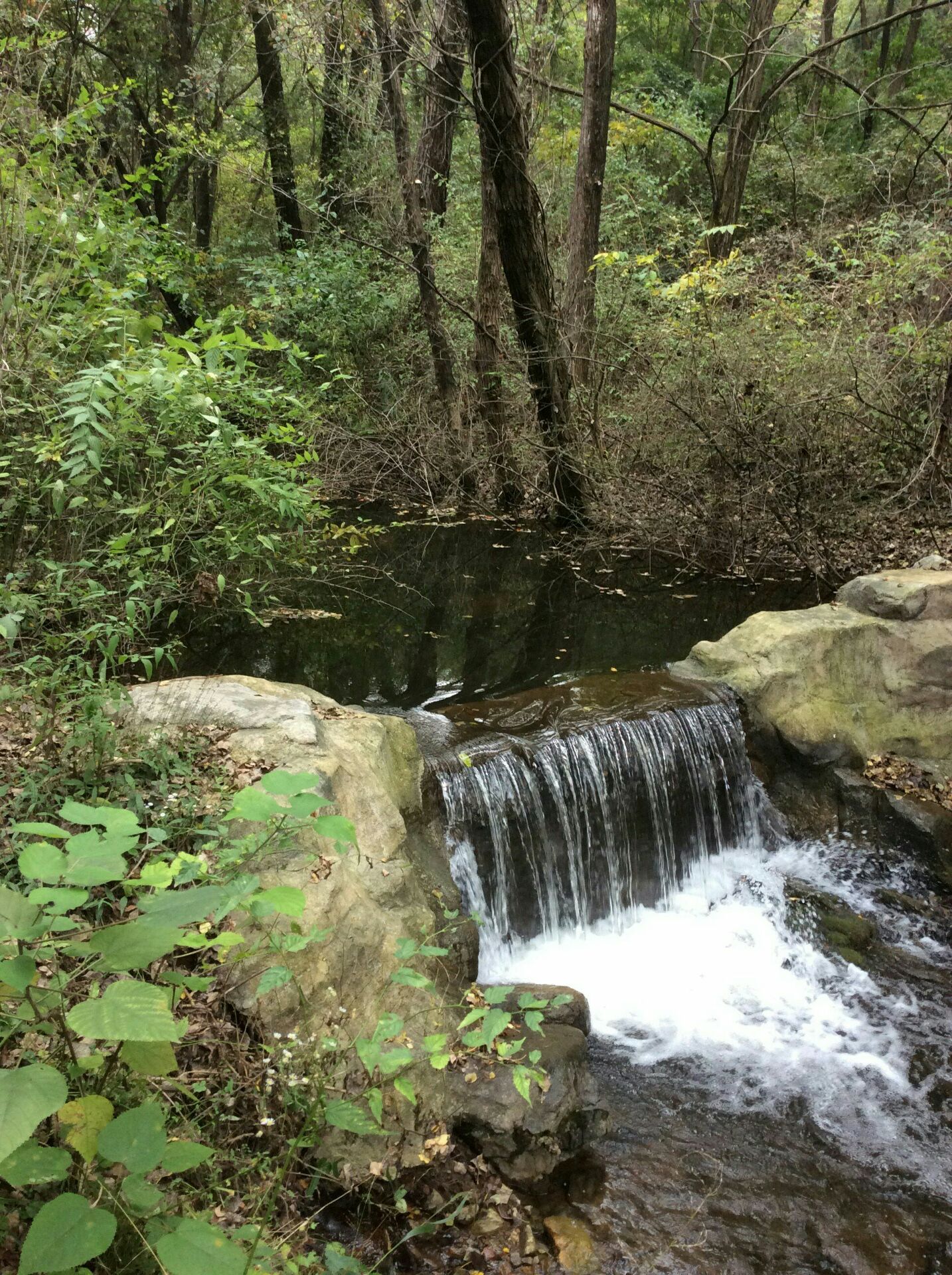 燕子山森林公园