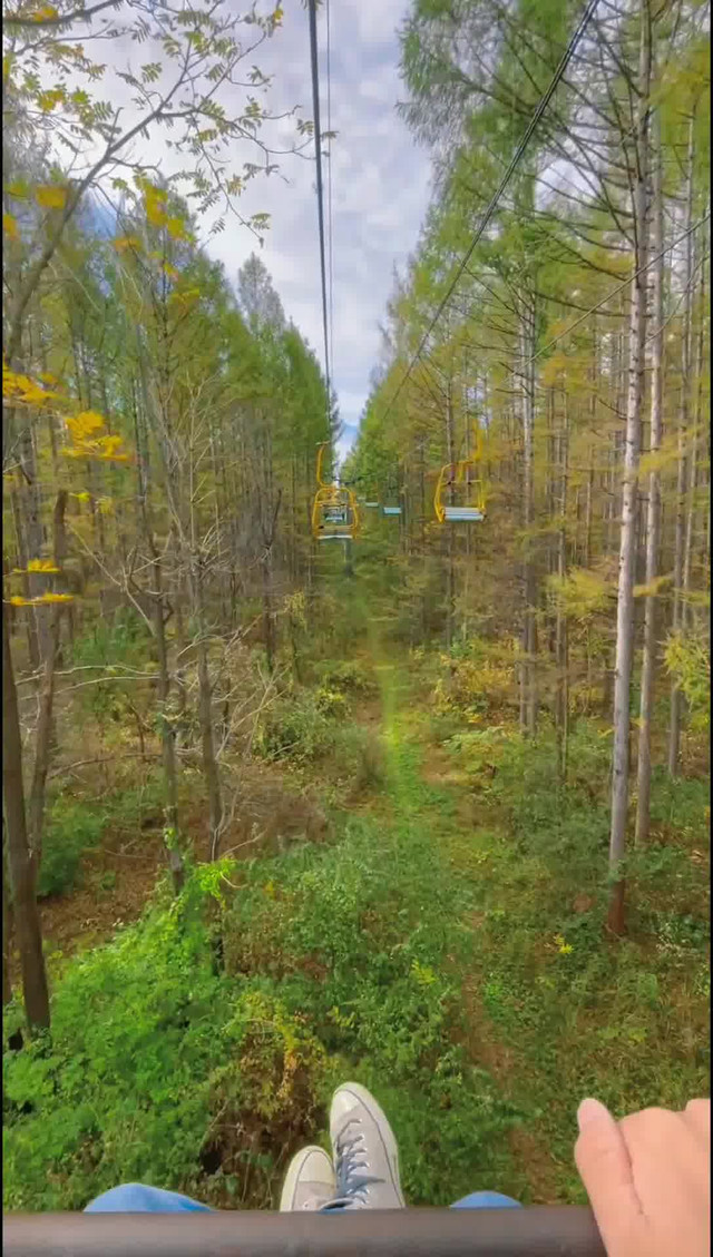 净月潭网红索滑道,带你一起穿越林海