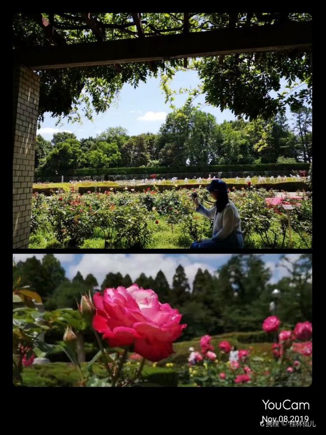 调布市神代植物公园攻略 调布市神代植物公园门票 攻略 地址 图片 门票价格 携程攻略