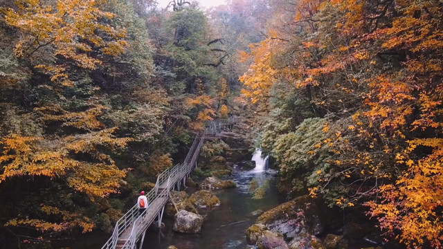 荥经龙苍沟住宿图片