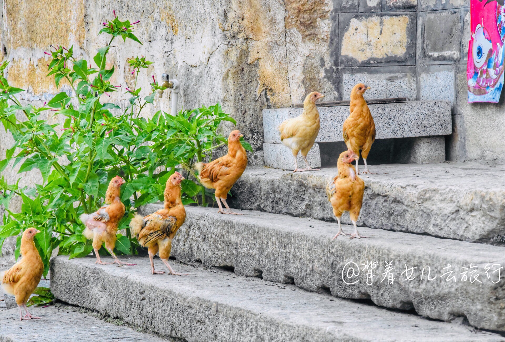 毛铺村