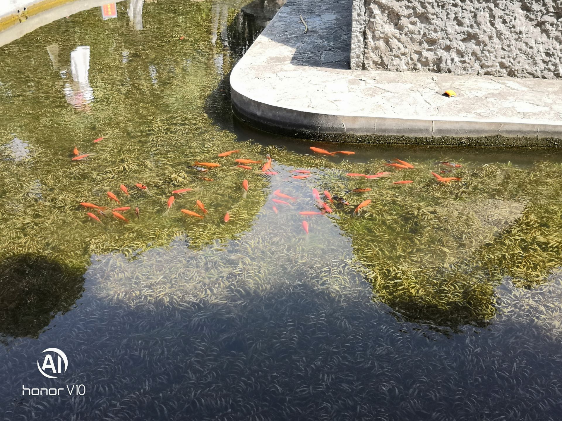 福星啤酒广场