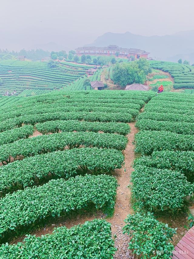三江仙人山景区攻略,三江仙人山景区门票/游玩攻略/地