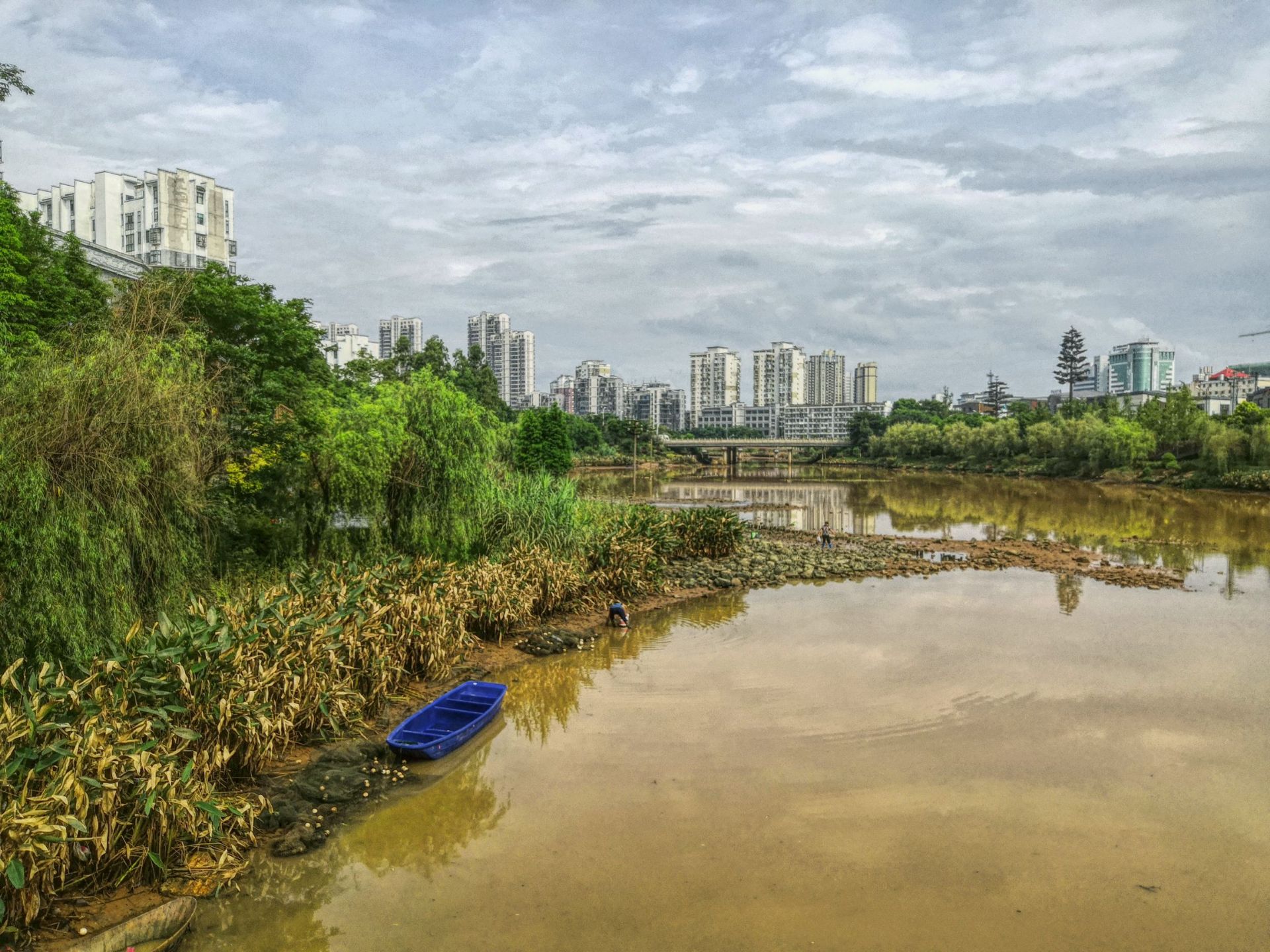 螺湖湾湿地公园