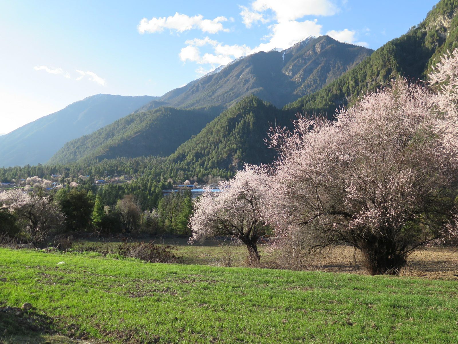 金川河谷