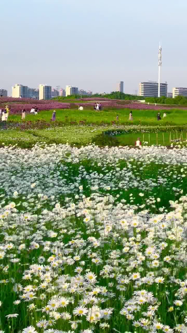 苏州湾体育公园全景图图片