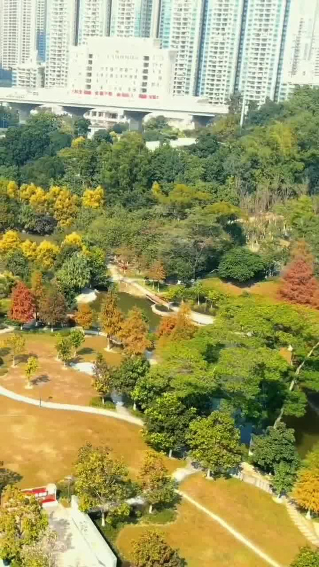 中山树木园