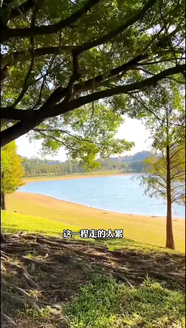 松山湖阳光沙滩