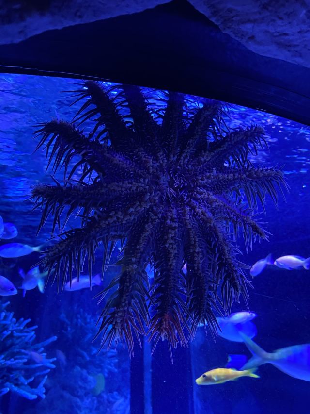 墨尔本墨尔本水族馆攻略,墨尔本墨尔本水族馆门票/游玩攻略/地址/图片