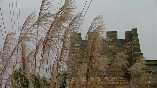 赤湾烟墩门票,深圳赤湾烟墩攻略/地址/图片/门票价格【携程攻略】