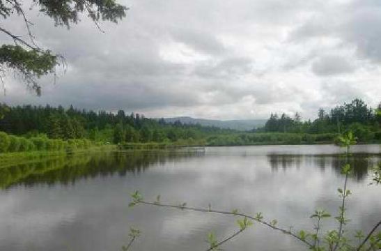 凉水自然保护区,伊春凉水自然保护区攻略/地址/图片/门票【携程攻略】