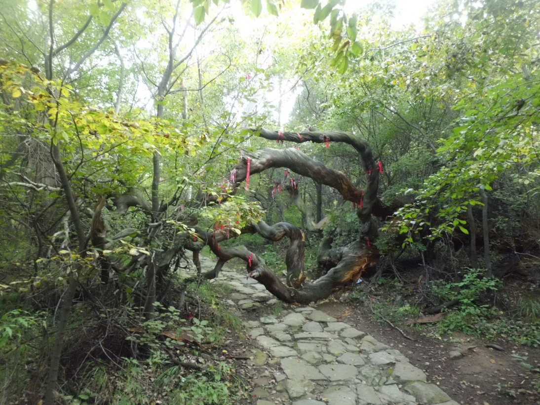 山西阳泉郊区gdp_阳泉郊区刘金文(3)