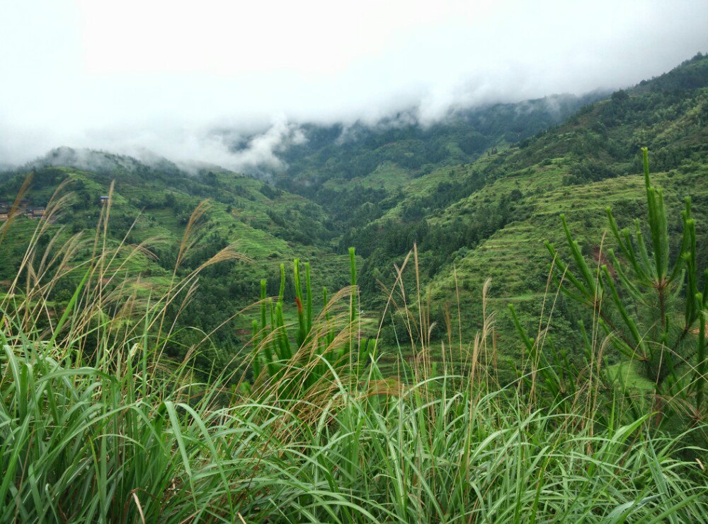 弄相山森林公园