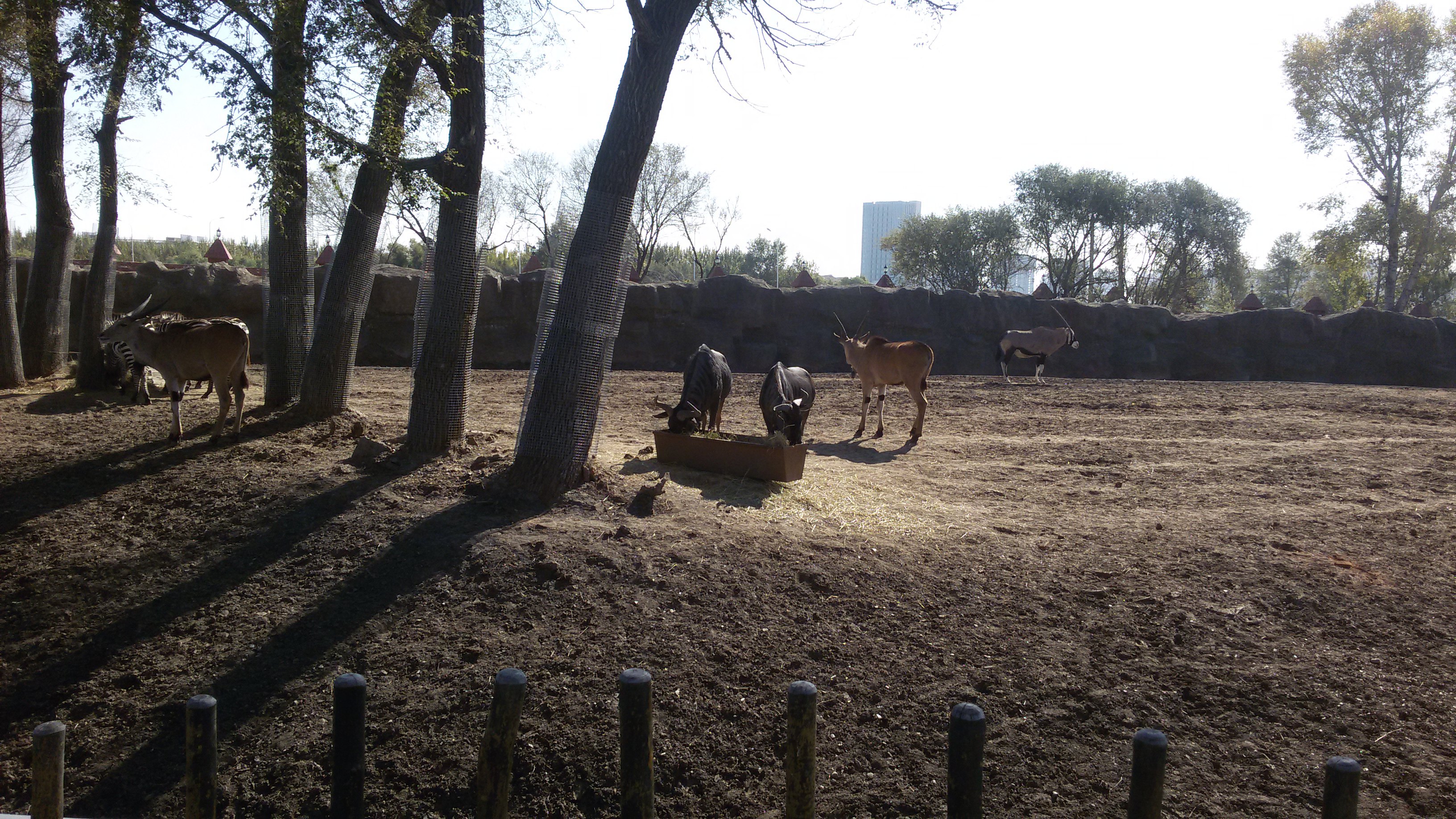 齊齊哈爾市龍沙動植物園感悟:孩子流連,大人休閒;親近自然,呵護家園