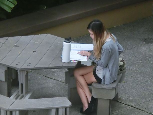 夏威夷马诺大学