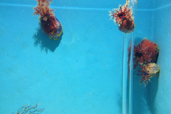 金鹰海底世界 - 常州游记攻略【携程攻略】