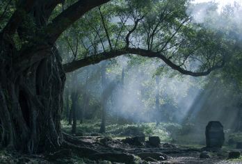 福建霞浦北岐滩涂+杨家溪+小皓海滩+东壁一日游【包车纯玩】【[美拍圣地]走进国内十大摄影圣地，幻影霞浦风景，多角度展示霞浦摄影风情，多路线走透透拍摄圣地！】