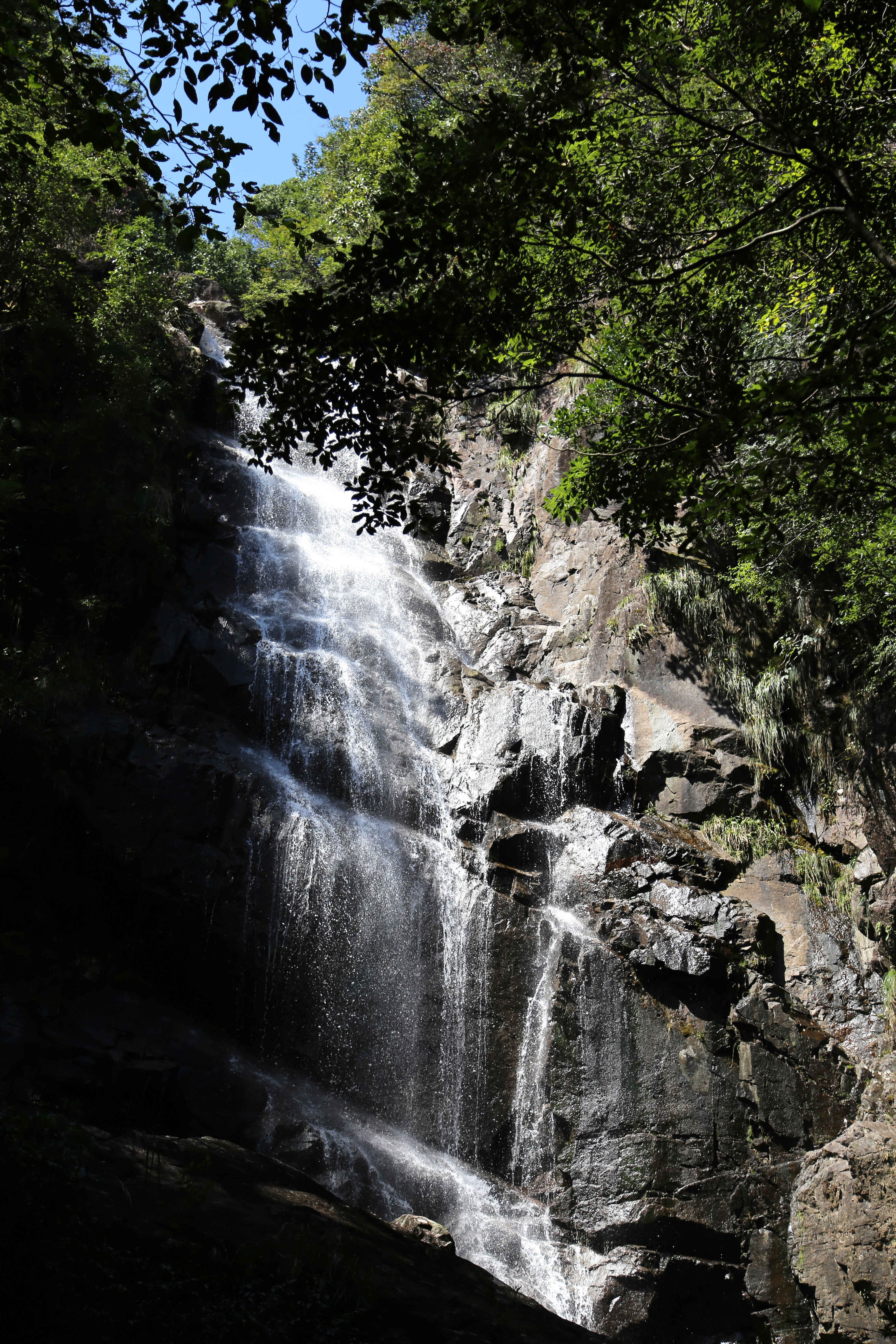 乌岩岭