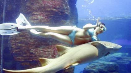 北海海洋之窗-人鲨共舞